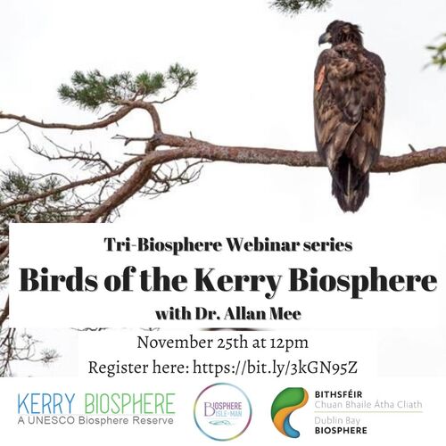 November webinar - Birds of the Kerry Biosphere