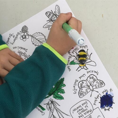 Nature Series online for Primary Schools