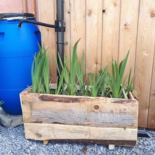 Rainwater Planter Webinar launched on Youtube