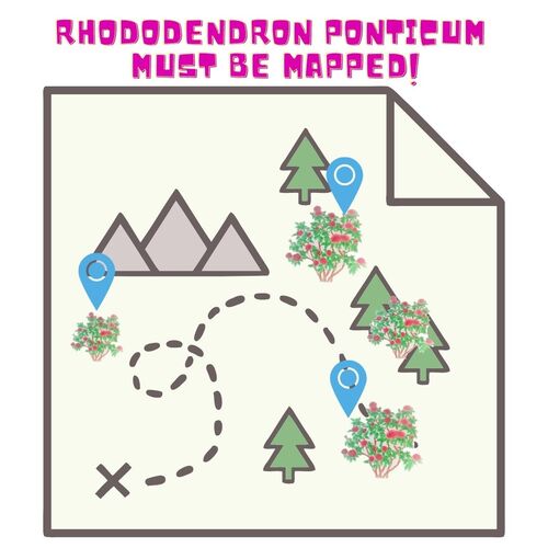cartoon map showing rhododendron plants with markers, text says  'rhododendron must be mapped'
